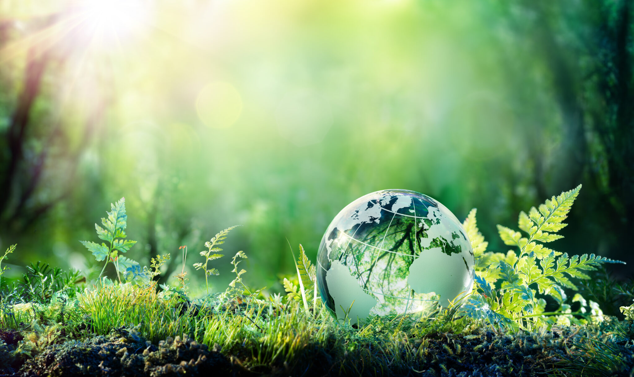 Sustainability Theme
